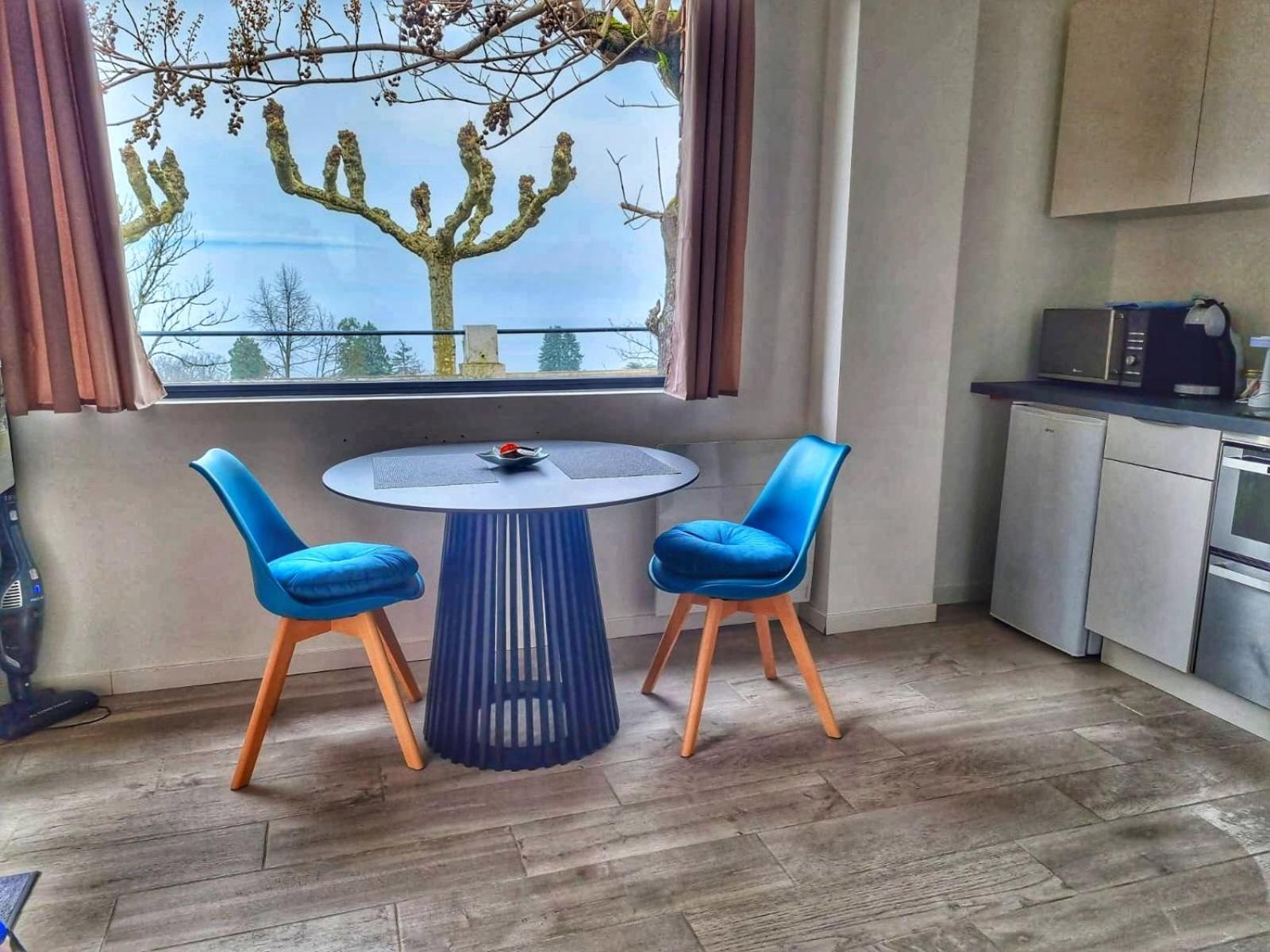 Appartement Cozy 2 Panoramique Lac Leman Thonon-Les-Bains Dış mekan fotoğraf